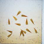 Thumbnail of 
