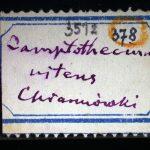 Thumbnail of 