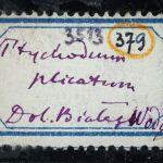 Thumbnail of 