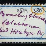 Thumbnail of 