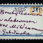Thumbnail of 