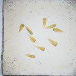 Thumbnail of 