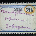 Thumbnail of 