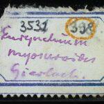 Thumbnail of 
