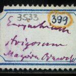Thumbnail of 