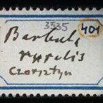 Thumbnail of 