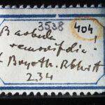 Thumbnail of 