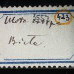 Thumbnail of 