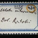 Thumbnail of 