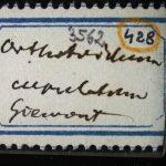 Thumbnail of 