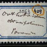 Thumbnail of 