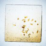 Thumbnail of 