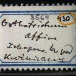Thumbnail of 