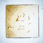 Thumbnail of 