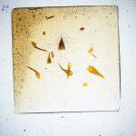 Thumbnail of 