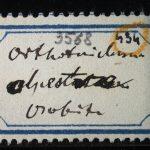 Thumbnail of 