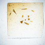 Thumbnail of 