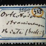 Thumbnail of 