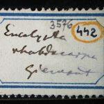 Thumbnail of 