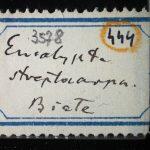 Thumbnail of 