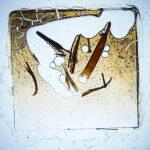 Thumbnail of 