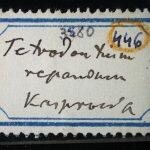 Thumbnail of 