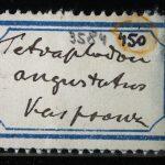 Thumbnail of 