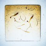 Thumbnail of 