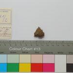 Thumbnail of 
