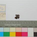 Thumbnail of 