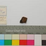 Thumbnail of 