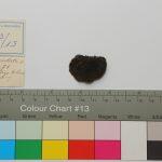 Thumbnail of 