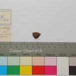 Thumbnail of 