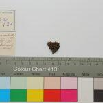 Thumbnail of 