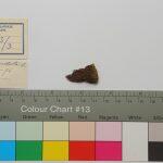 Thumbnail of 