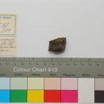 Thumbnail of 