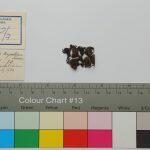 Thumbnail of 