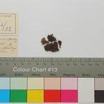 Thumbnail of 