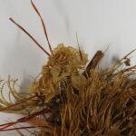Thumbnail of 