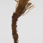 Thumbnail of 