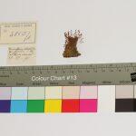 Thumbnail of 