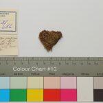 Thumbnail of 