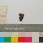Thumbnail of 