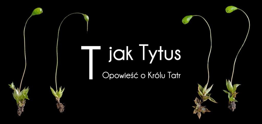 BANER T jak Tytus, Opowieść o Królu Tatr