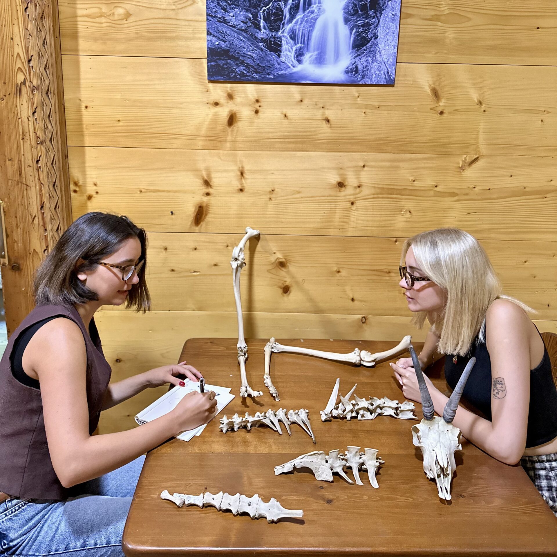 Międzynarodowa współpraca i kozica tatrzańska w 3D