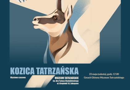 Kozica tatrzańska – Kamzík tatranský, 23 maja