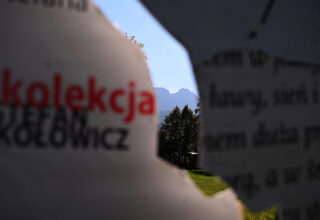 Panorama Wspólna