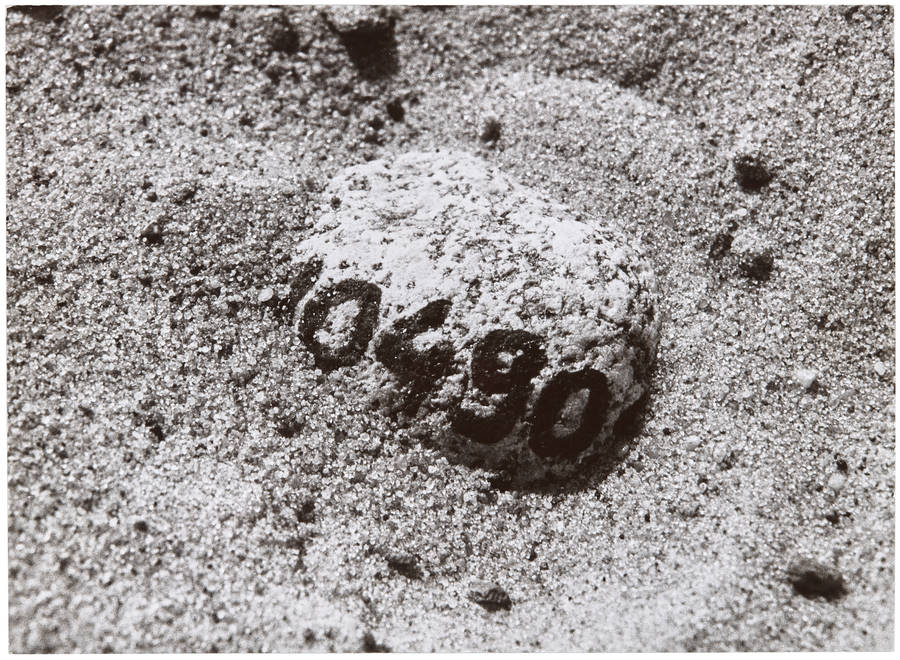 kamień z napisem 10490 zanurzony w piasku
