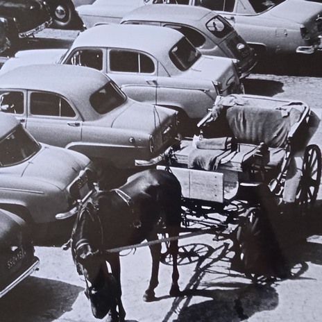 czarno biała fotografia z lat 60. ubiegłego wieku bryczka z koniem na tle starych aut