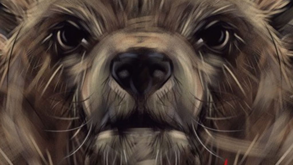 Rysunek twarzy niedźwiedzia brunatnego